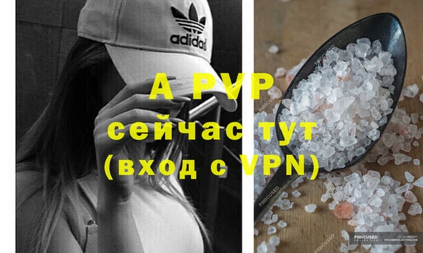 твердый Алексин