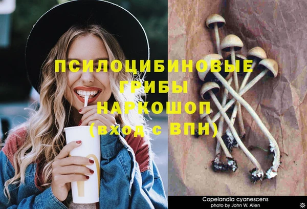 каннабис Алексеевка