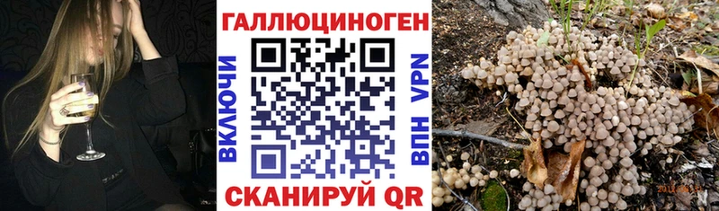 omg вход  Менделеевск  Галлюциногенные грибы прущие грибы 